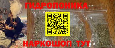 spice Дубна