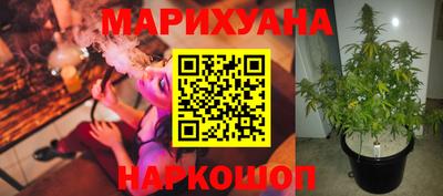 spice Дубна