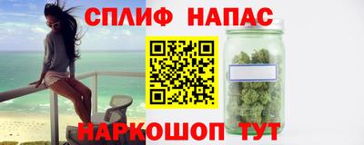 spice Дубна