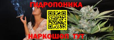 spice Дубна